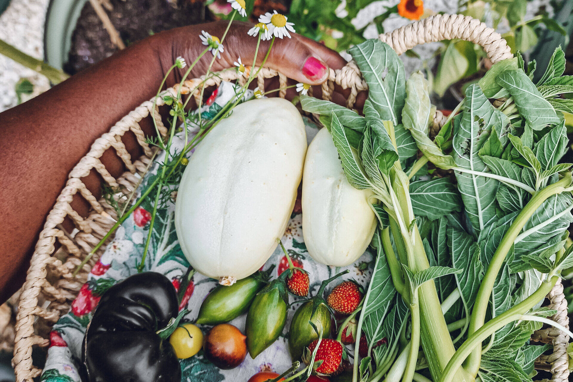 A round wicker basket with a mini harvest, containing white cucumbers, callaloo (amaranth), strawberries, German chamomile and various tomatoes