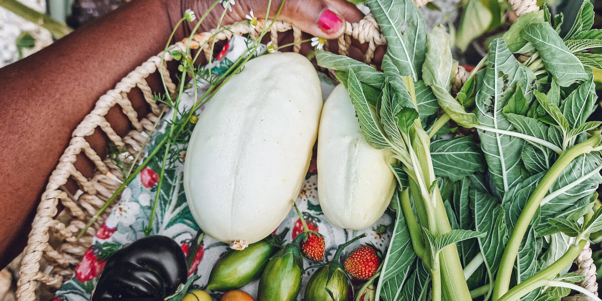 A round wicker basket with a mini harvest, containing white cucumbers, callaloo (amaranth), strawberries, German chamomile and various tomatoes