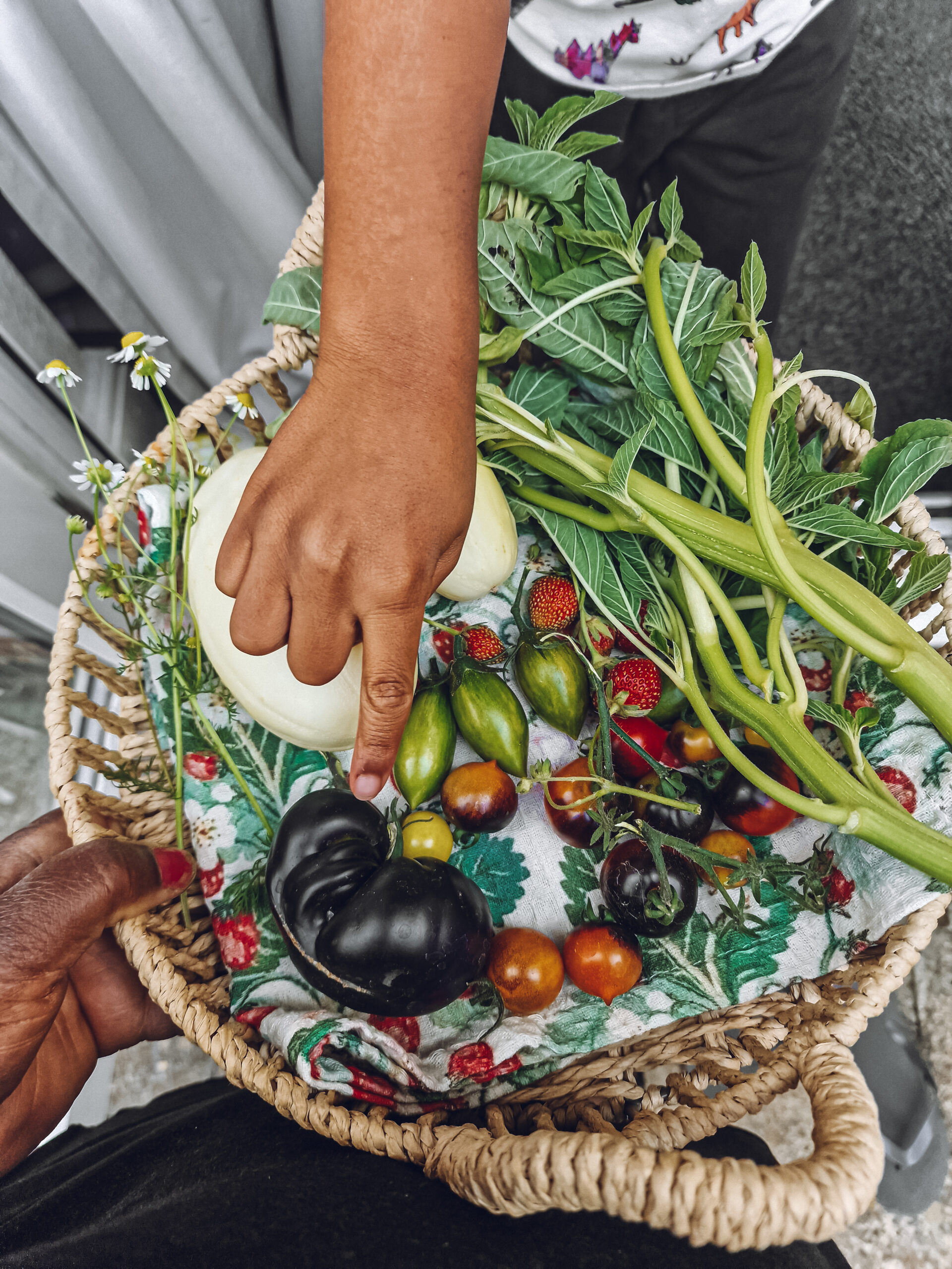A round wicker basket with a mini harvest, containing white cucumbers, callaloo (amaranth), strawberries, German chamomile and various tomatoes and a child's hands pointing to the Black Beauty Tomato.