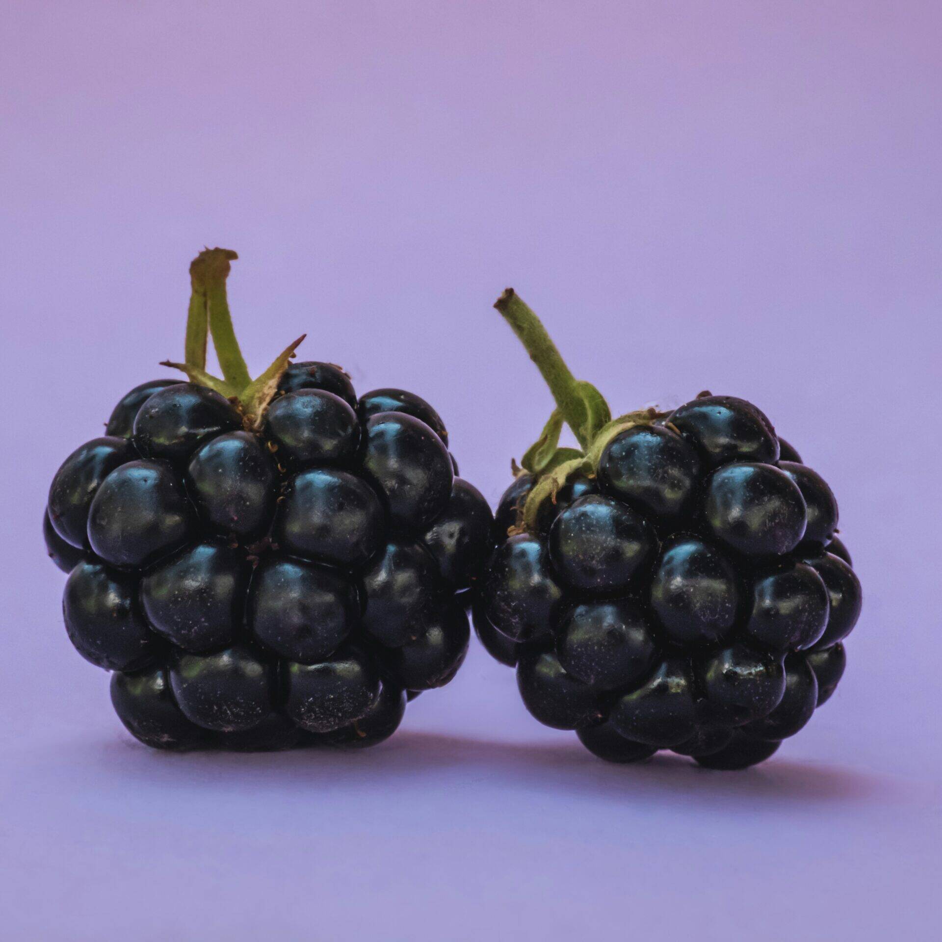 Blackerry Jam Recipe