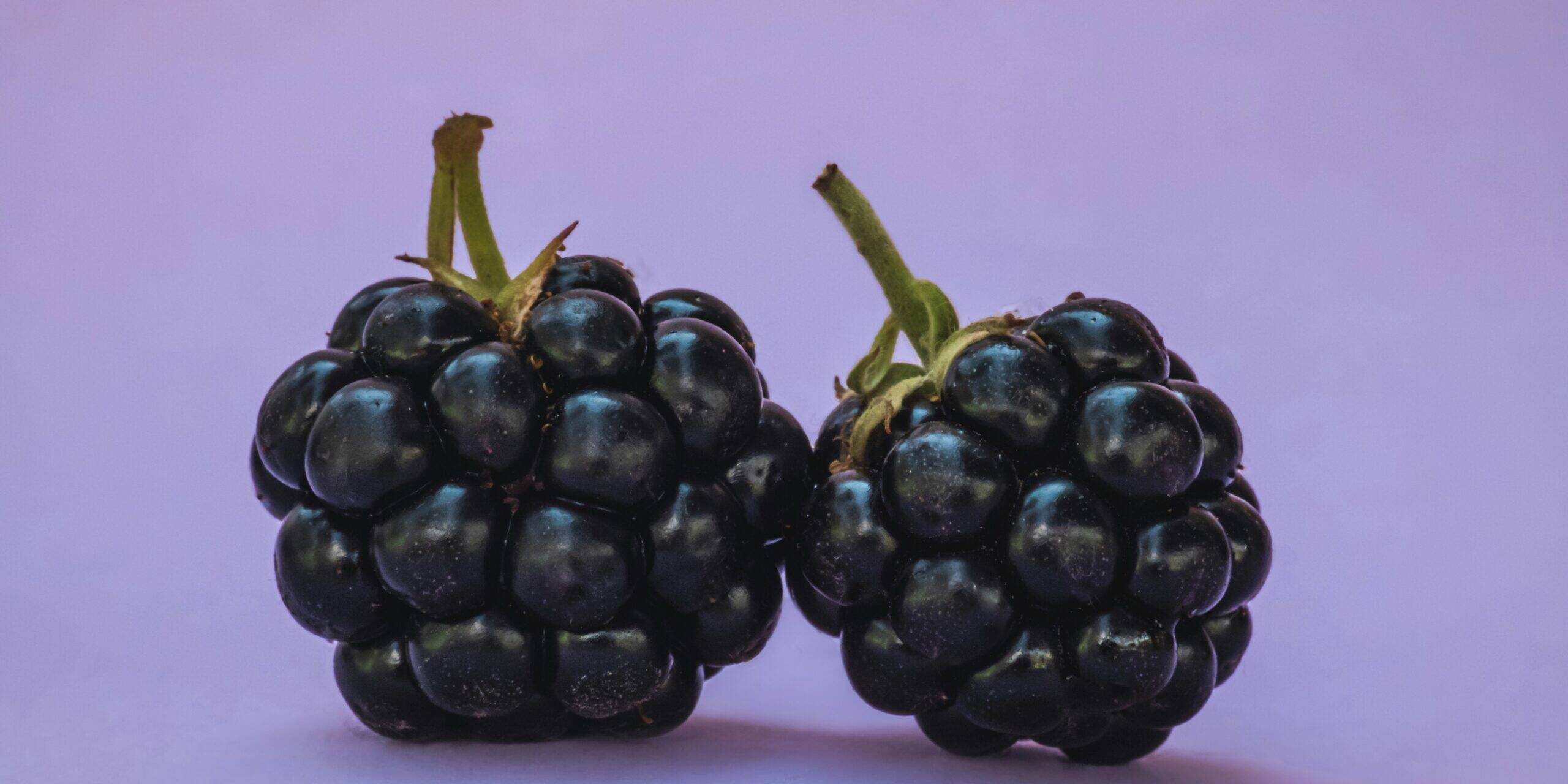 Blackerry Jam Recipe