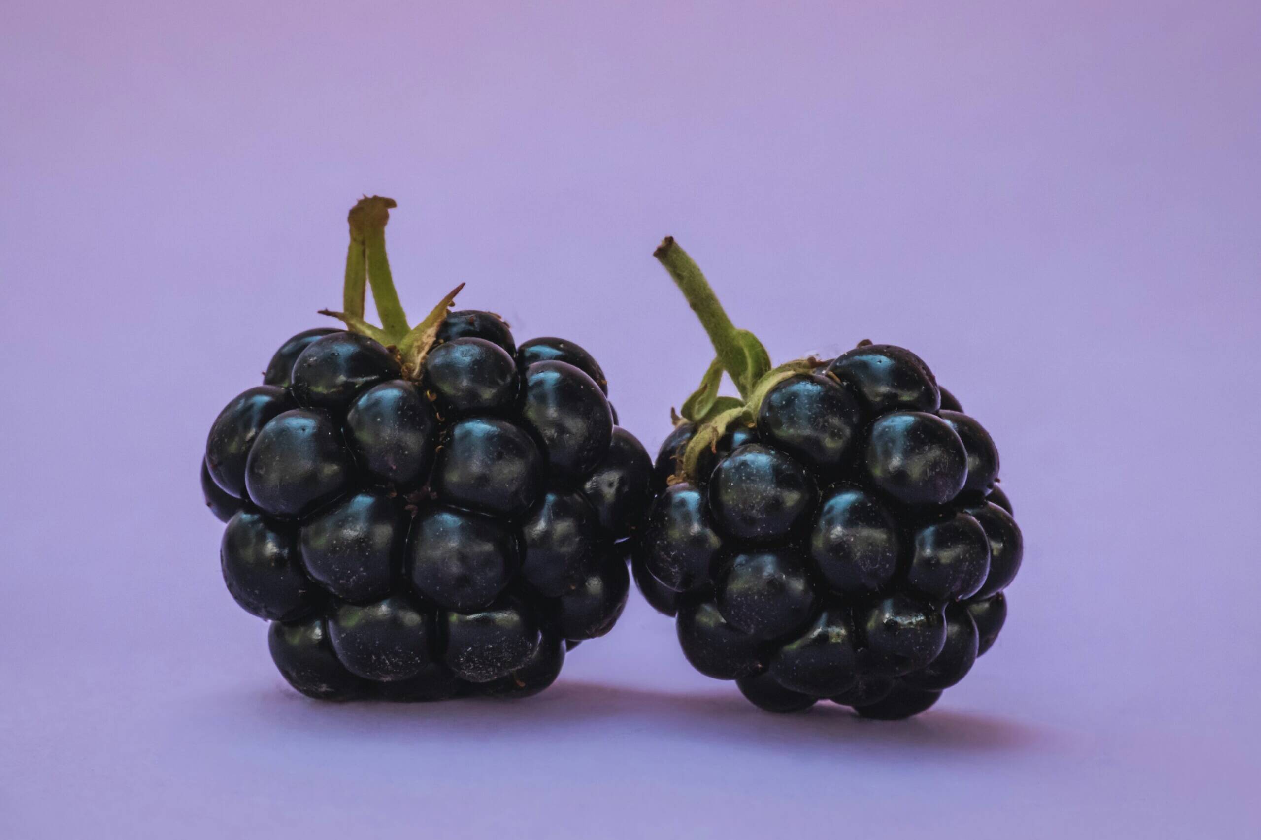 Blackerry Jam Recipe