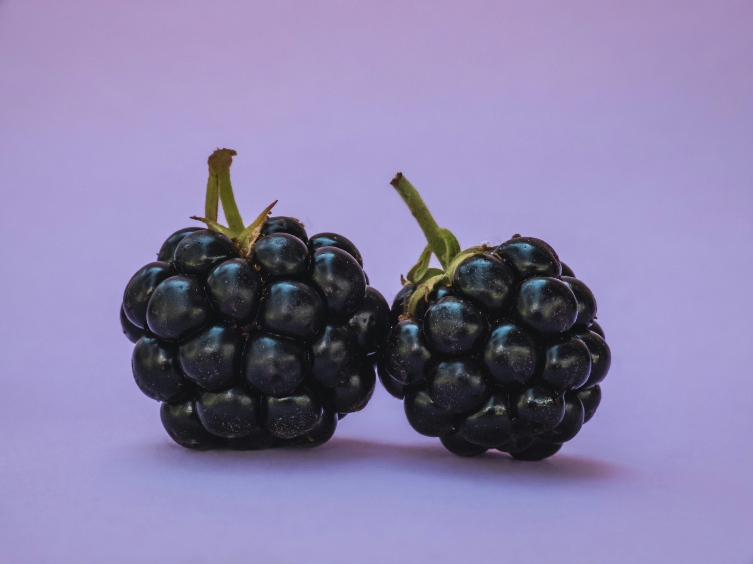 Blackerry Jam Recipe